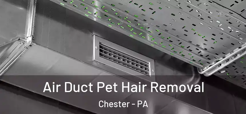 Air Duct Pet Hair Removal Chester - PA