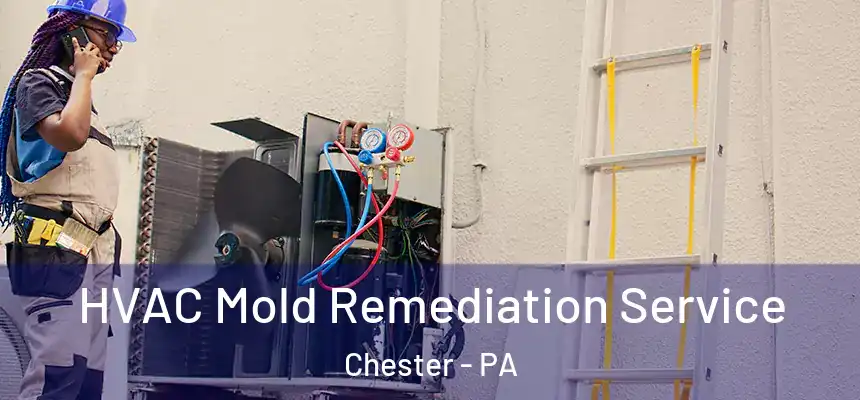  HVAC Mold Remediation Service Chester - PA