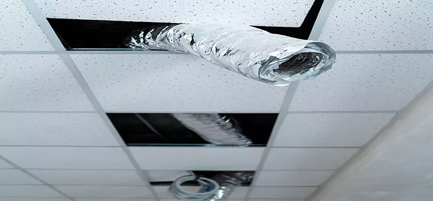 Affordable HVAC Sanitizing After Pest Removal in Chester