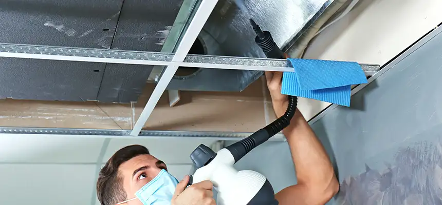 Our Air Duct Rodent Removal Services in Chester, PA