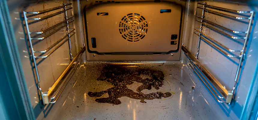 Our Dryer Vent Mold Cleaning Services in Chester, PA