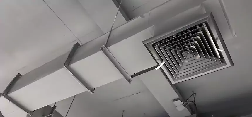 Our Pest Removal From Ducts Services in Chester, PA