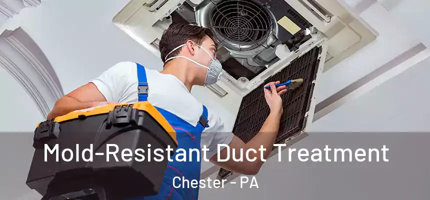  Mold-Resistant Duct Treatment Chester - PA