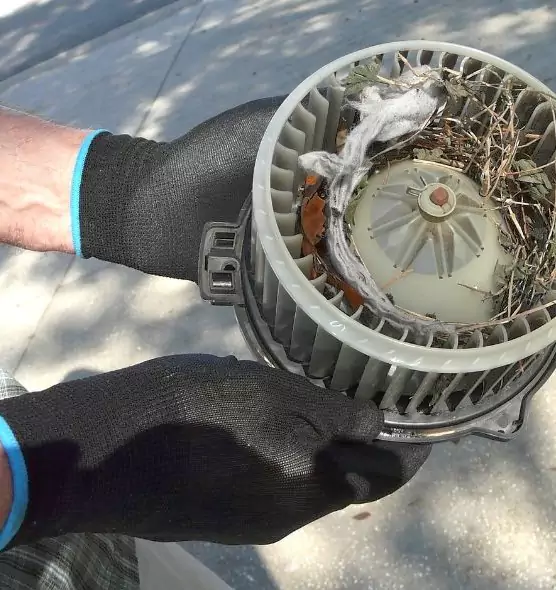 About Air Duct Mice Removal in Chester, PA