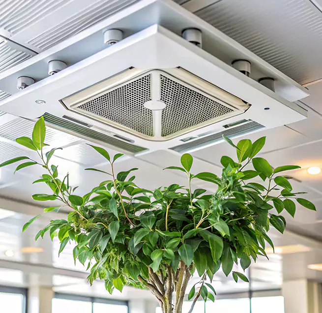 Why Homeowners & Businesses Trust Us in Chester, PA?