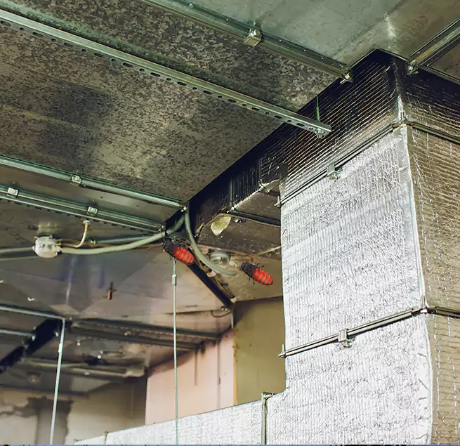 Why Homeowners & Businesses Trust Us Chester, PA?