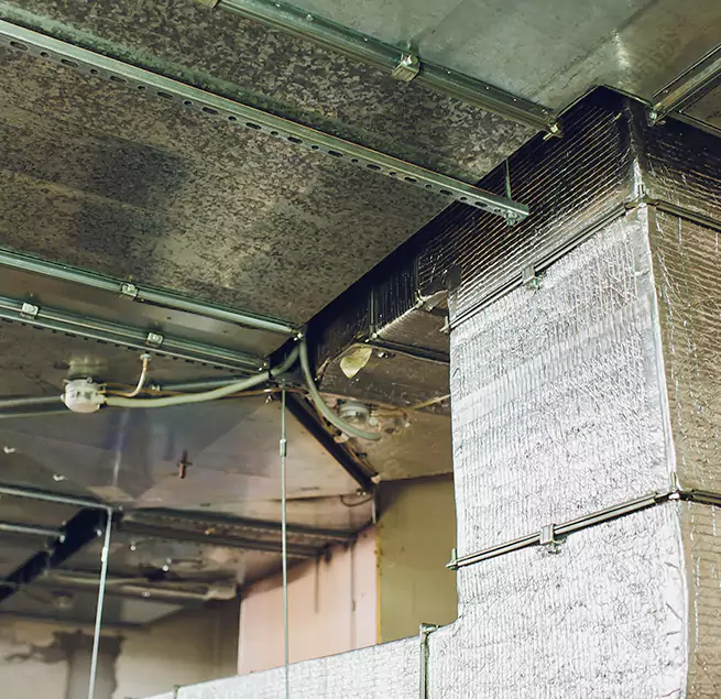 Why Homeowners & Businesses Trust Us in Chester, PA?